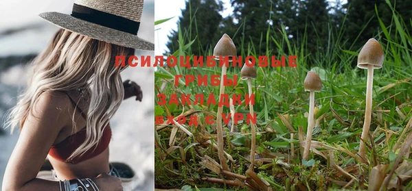 гашишное масло Аркадак